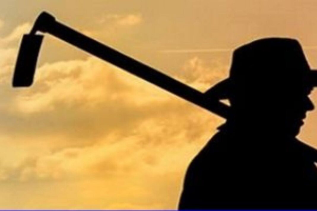 A Concessão de Benefícios para Trabalhadores Rurais capa guilherme A Concessão de Benefícios para Trabalhadores Rurais capa guilherme