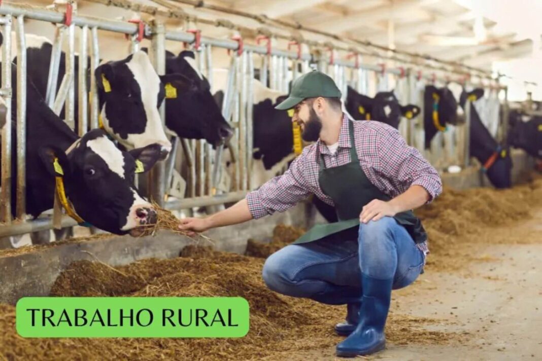 Direitos Previdenciários de Trabalhadores Rurais e os Especiais capa guilherme fagundes Direitos Previdenciários de Trabalhadores Rurais e os Especiais capa guilherme fagundes